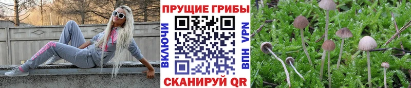 Галлюциногенные грибы GOLDEN TEACHER  Уржум 